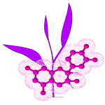 polyphenols