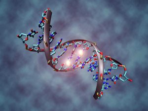 dna_methylation