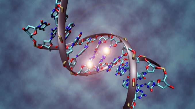 DNA Methylation