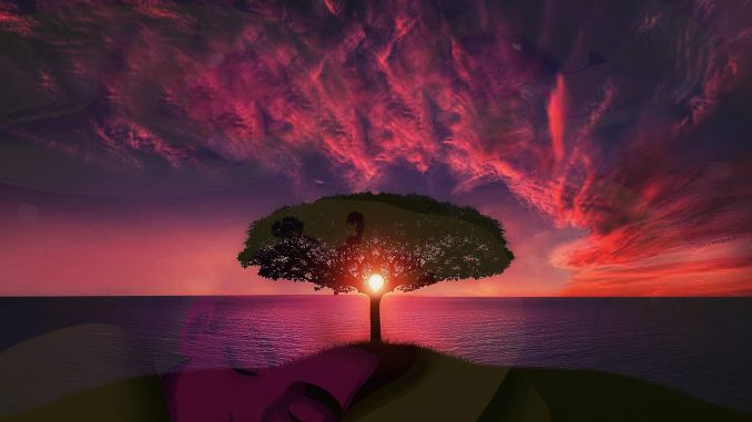 dream-tree